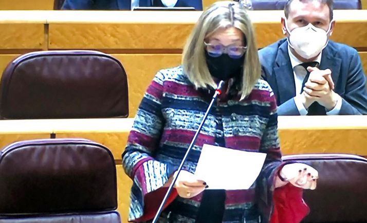 María José Heredia: Es una desfachatez y una desvergüenza considerar los datos de la EPA como muy positivos