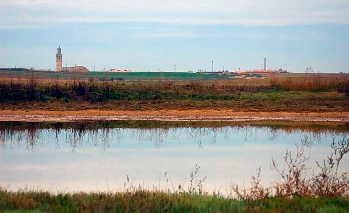 En 2020 CyL censó 353 humedales con más de 50.000 aves acuáticas invernantes  