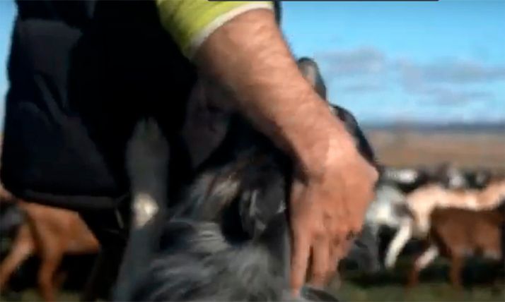 Red SSPA presentará en Madrid un informe de externalidades medioambientales positivas