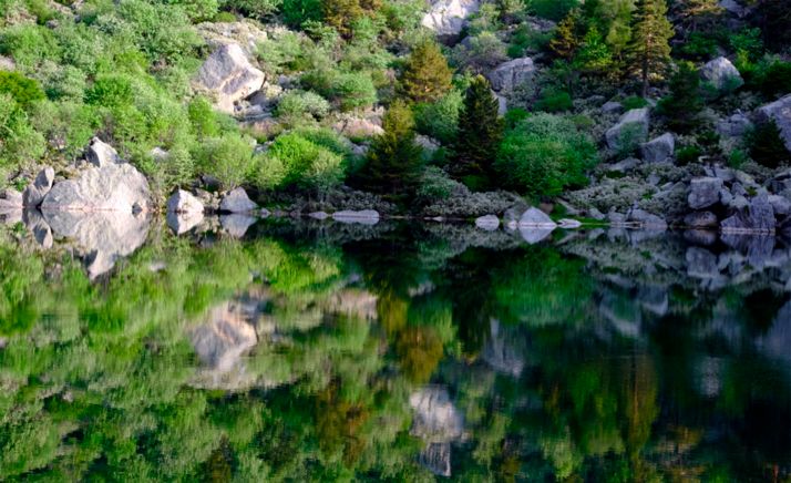 El Campus participa en un proyecto LIFE que ayudará a los bosques a hacer frente al cambio climático