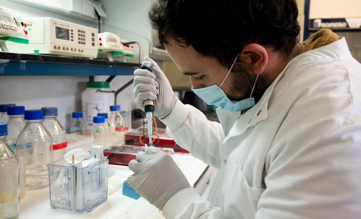 Video: Un año de investigación del CSIC centrado en el SARS-CoV-2 