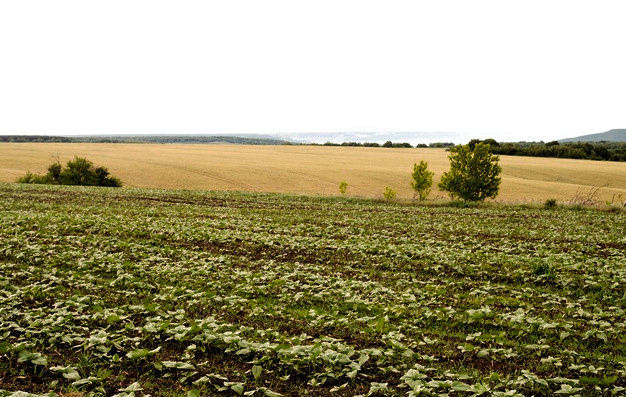 La Junta presenta un modelo alternativo para la aplicación de prácticas agroambientales de la nueva PAC