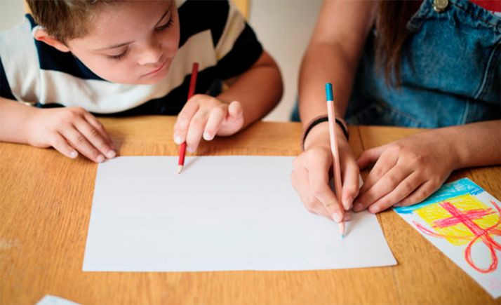 Piden libertad de elección de centro para alumnos con necesidades especiales 