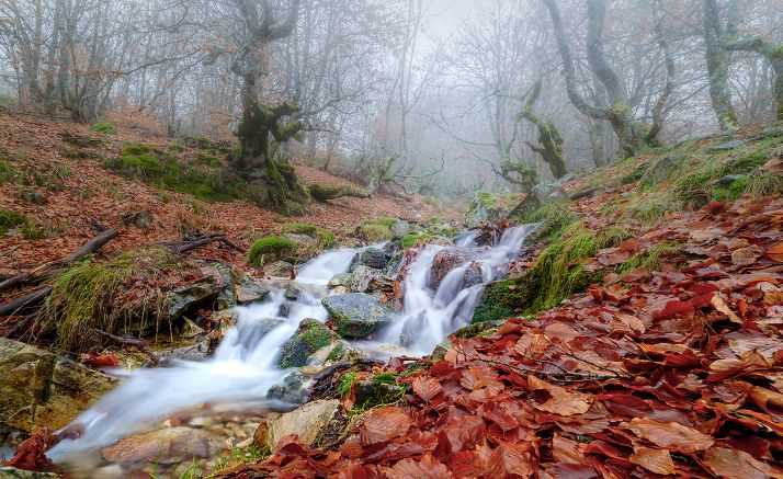 Suárez-Quiñones pide a la UE que abandone su deriva excesivamente ambientalista