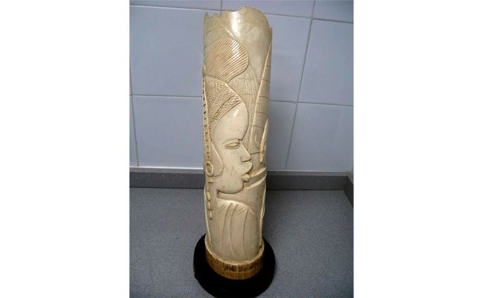 Investigado en Valladolid por no acreditar la procedencia de marfil que trataba de vender 