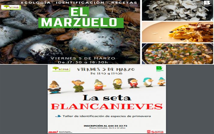 El viernes, talleres en el Mercado sobre las setas de primavera