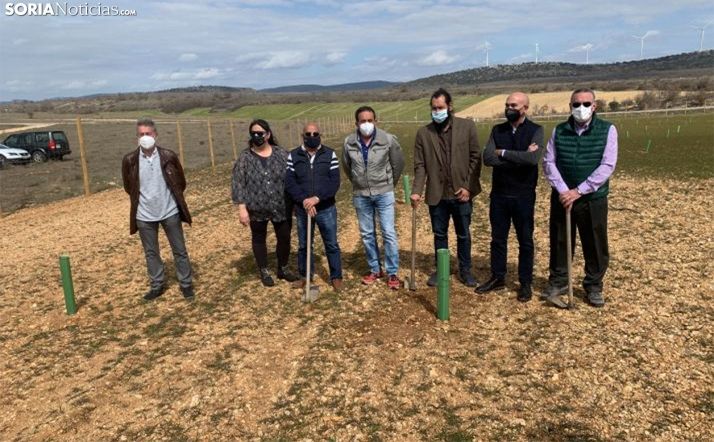 Imagen de la presentación del proyecto para el que han sido plantadas varias encinas micorrizadas. /SN