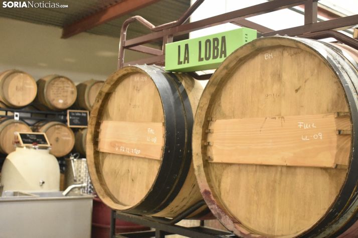 El 5G llega a Soria para elevar el sector del vino y conectar el mundo rural