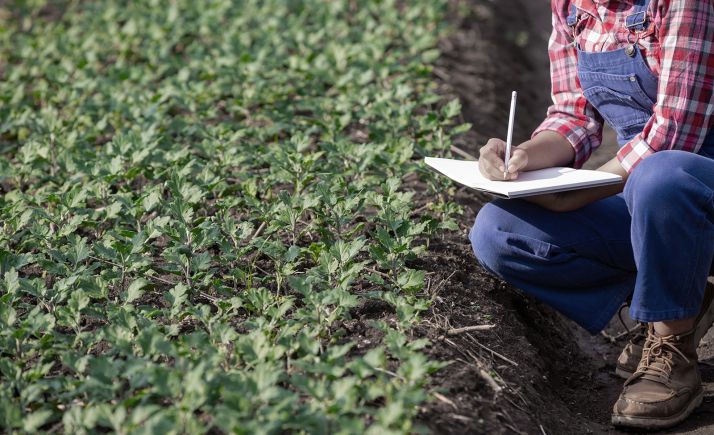 La Junta incrementa hasta los 2,5 M€ la ayuda para mejorar la formación de los sectores agrario, forestal y agroalimentario