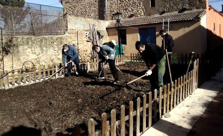 Asovica forma a personas con discapacidad en labores de horticultura ecológica