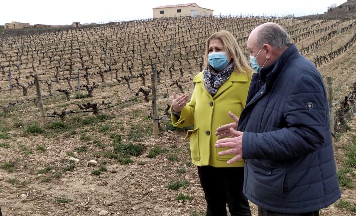 La futura restauración de una una lagareta impulsará el conjunto de las bodegas de Atauta