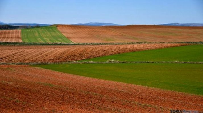 13 M€ para los planes de mejoras territoriales y obras de tres zonas de concentración parcelaria en las provincias de León y Zamora