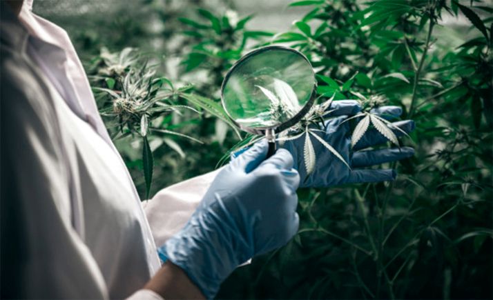 Ondara y el comité de empresa alcanzan un acuerdo en la negociación del ERTE