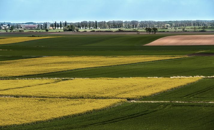 ASAJA Soria valora la reducción de módulos fiscales para el campo provincial