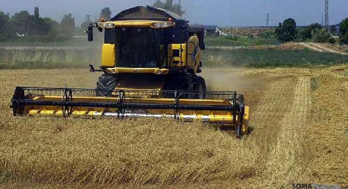 Investigadores de la UVa diseñan un nuevo índice mejorado para predecir cosechas