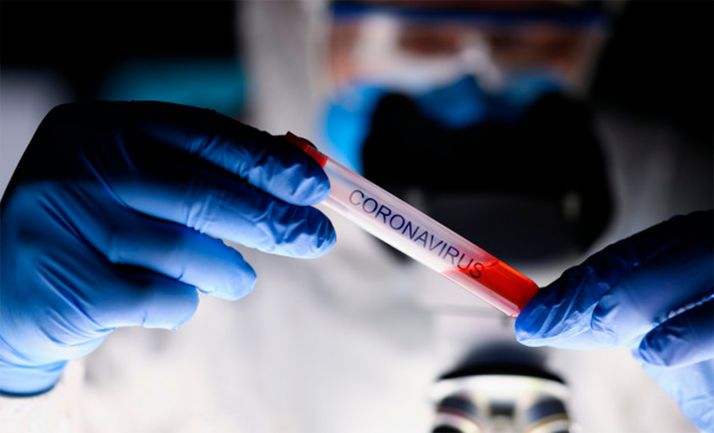 Los veterinarios de Castilla y León se forman como rastreadores epidemiológicos de Coronavirus