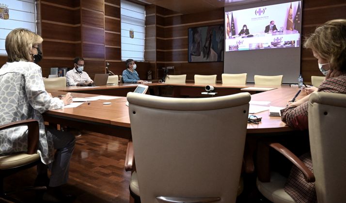 Responsables de la Sanidad de CyL durante el Consejo Interterritorial celebrado en la noche de ayer. /SN