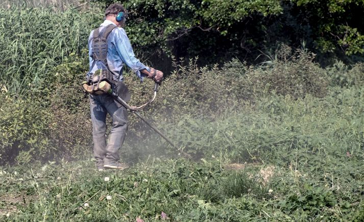 La Diputación recibirá 330.000 € de la Junta para desempleados que realizarán labores forestales