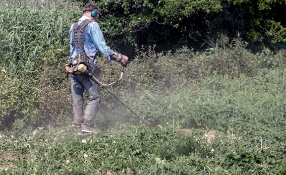 El Plan de Empleo de la Diputación movilizará 650.000 euros para contrataciones en municipios