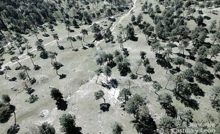 Un ciclista, evacuado en helicóptero tras fracturarse la tibia en Las Navas del Marqués