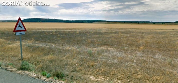 Terrenos en los que se ubicaría la granja.