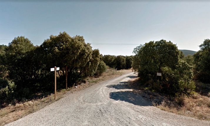 Este sábado, senderismo arbóreo en Ólvega