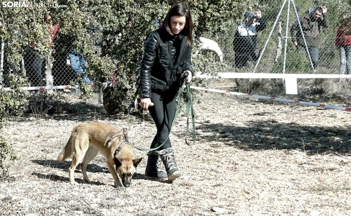 Las ayudas provinciales a la trufa priorizarán las solicitudes de mujeres y de jóvenes