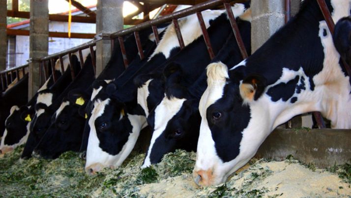 IUCyL critica el modelo económico que relega Castilla y León a la periferia como causa de la despoblación