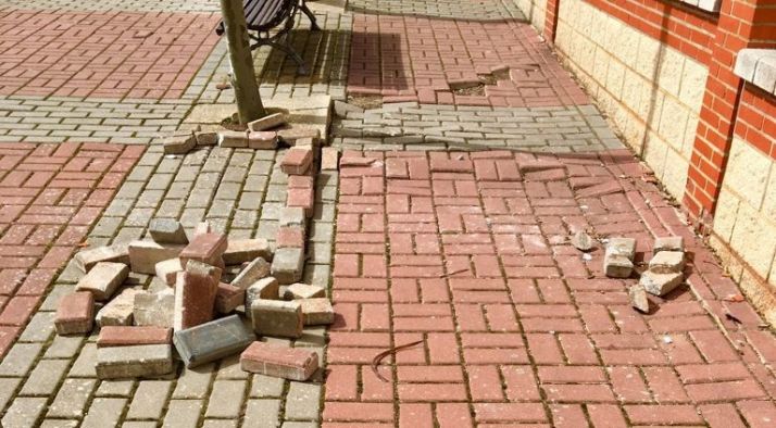 Ignacio Soria compara el parque de Los Royales con uno de Siria por su vergonzoso estado