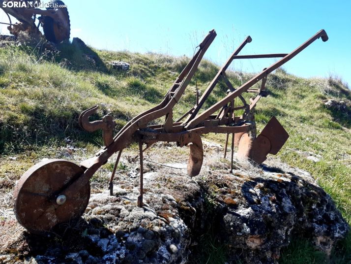 FOTOS: Sorprendente Homenaje al labrador en uno de los pueblos más pequeños de Soria