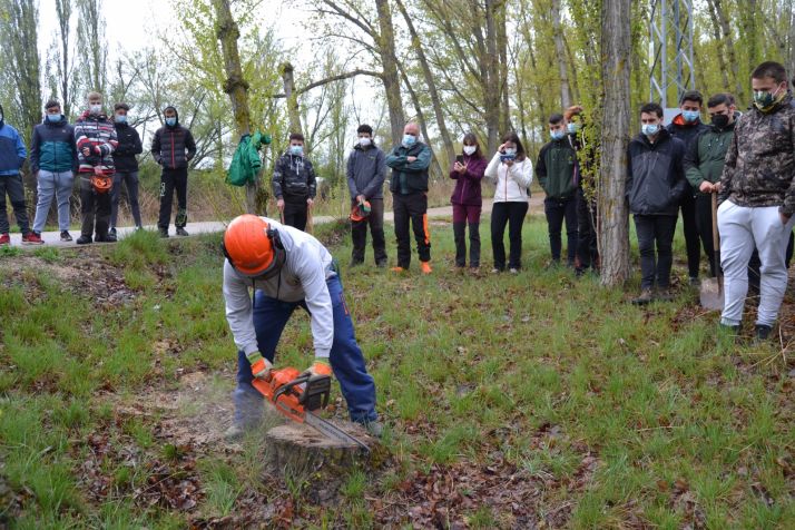 Técnicas de gestión selvícola con hongos en el Parque de la Arboleda de Almazán