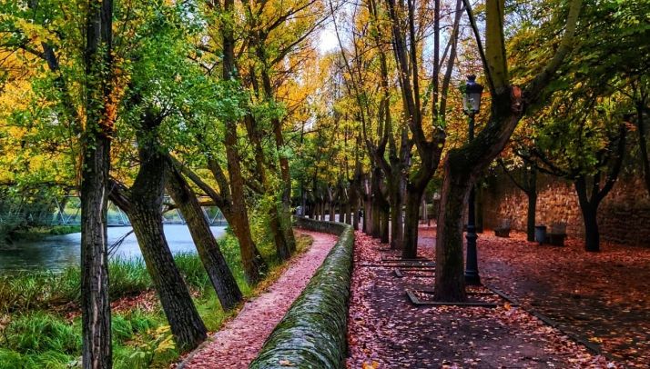 Galería: Aroa Cobos enseña una Soria de puro color en una muestra de 30 fotografías