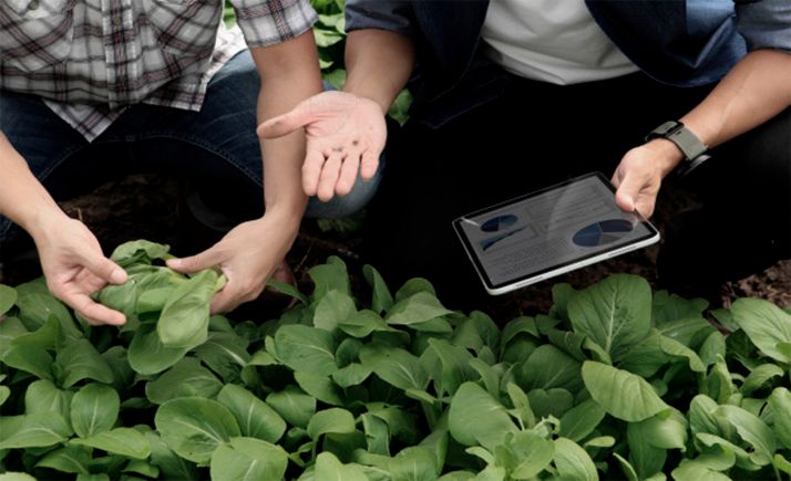 Convocadas las ayudas para la prestación del servicio de asesoramiento a las explotaciones agrarias, forestales y pymes rurales