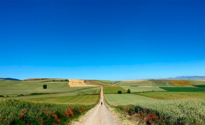 El Programa de Desarrollo Rural de Castilla y León seguirá en vigor hasta finalizar 2025 y contará con 364M€ más de financiación europea