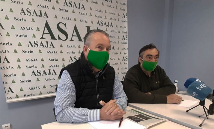 El campo honrará a San Isidro con esperanzas por la cosecha y también por el avance en el control de la pandemia