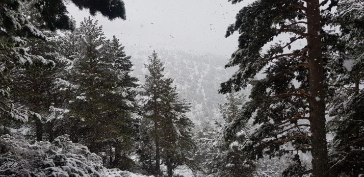 Mayo se estrena con nieve en la provincia de Soria