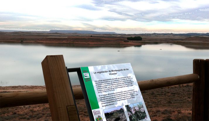 El embalse de Monteagudo protagoniza el Día de las Aves Migratorias con actividades puntuales y al aire libre por la pandemia
