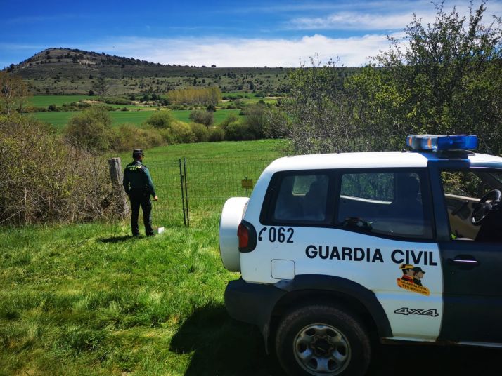 Detenidas dos personas en Soria por entrar a una finca a robar setas