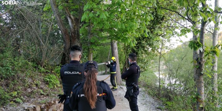 Susto con las pelusas junto a los Arcos de San Juan de Duero