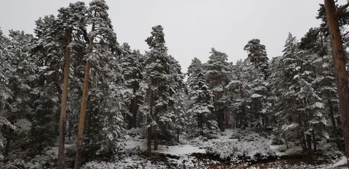 Fotos: Soria presume de nieve a mediados de mayo