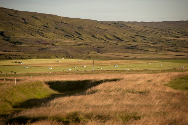 La superficie total declarada de PAC en Castilla y León se mantiene en 5,2 millones de hectáreas