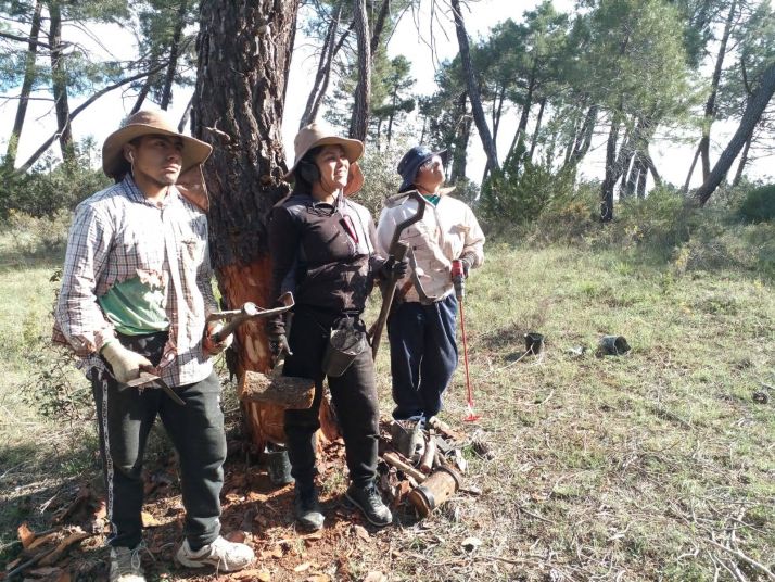 Quintanas y Gormaz apuestan por la resina para fijar población