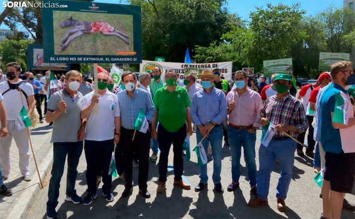 ASAJA Soria se suma a la protesta nacional contra el blindaje del lobo, que deja desprotegido al ganadero