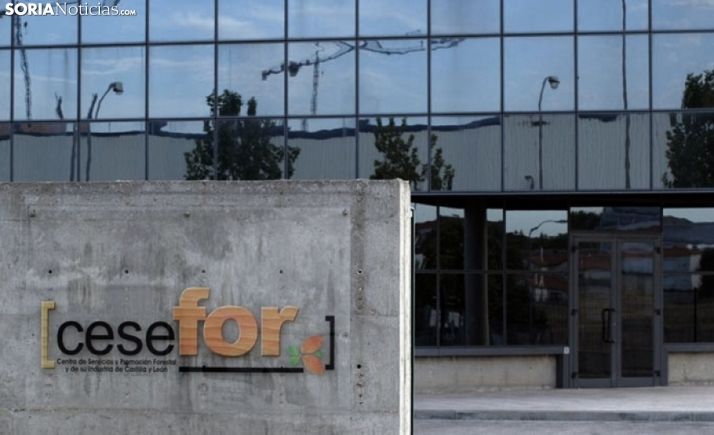 Aprobada una subvención regional a la Fundación Cesefor de 560.000 euros