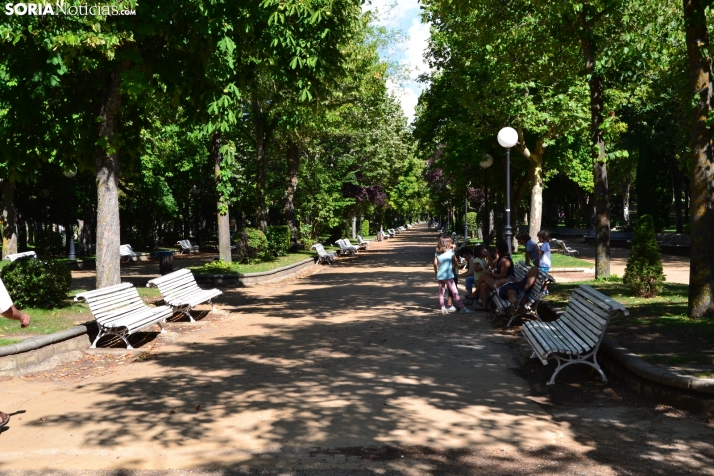 Y los árboles conquistaron La Dehesa