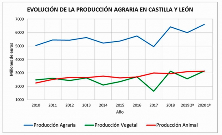 La producción agraria de Castilla y León se incrementa un 10% en 2020 alcanzando así los 6.613 M€, el segundo mayor valor registrado