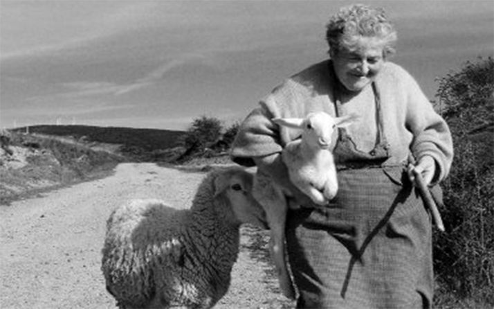 Una de las imágenes de la muestra. /JS