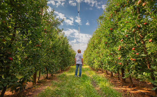 Nufri se compromete a aislar las viviendas afectadas por su ruido