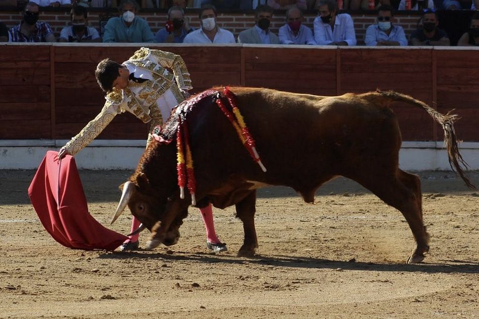 Foto 5 - Manuel Diosleguarde gana el Circuito de Novilladas de Castilla y León