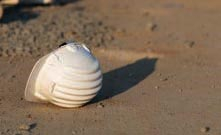 UGT afirma que los recientes accidentes laborales en Soria podrían haber sido evitados